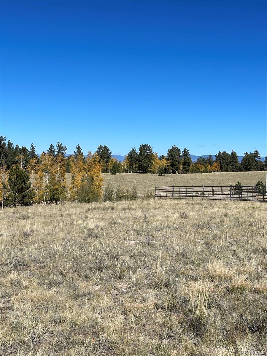 356 BOLSTER Drive, Hartsel, CO 80449, ,Land,For Sale,BOLSTER,REC1760992