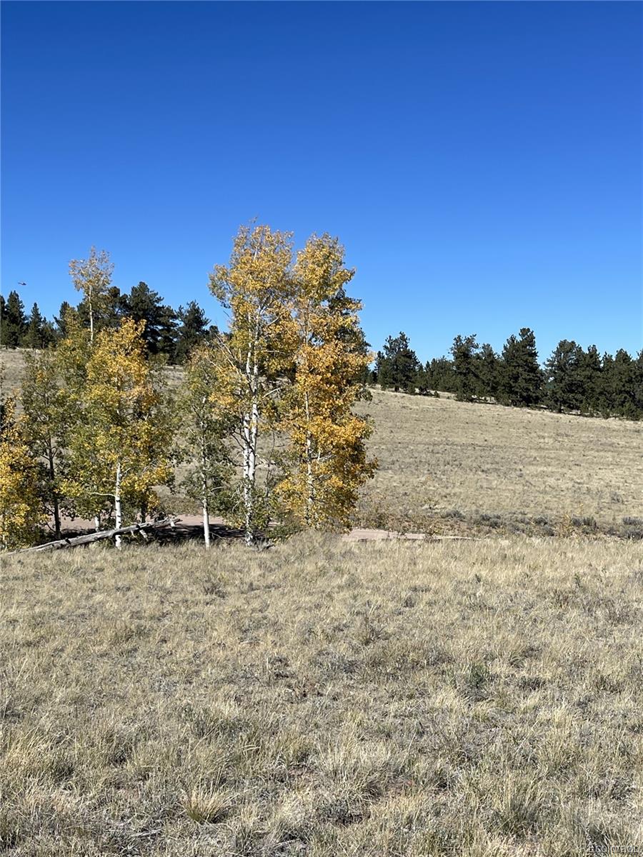 356 BOLSTER Drive, Hartsel, CO 80449, ,Land,For Sale,BOLSTER,REC1760992