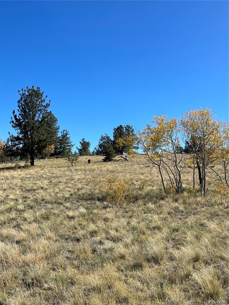 356 BOLSTER Drive, Hartsel, CO 80449, ,Land,For Sale,BOLSTER,REC1760992