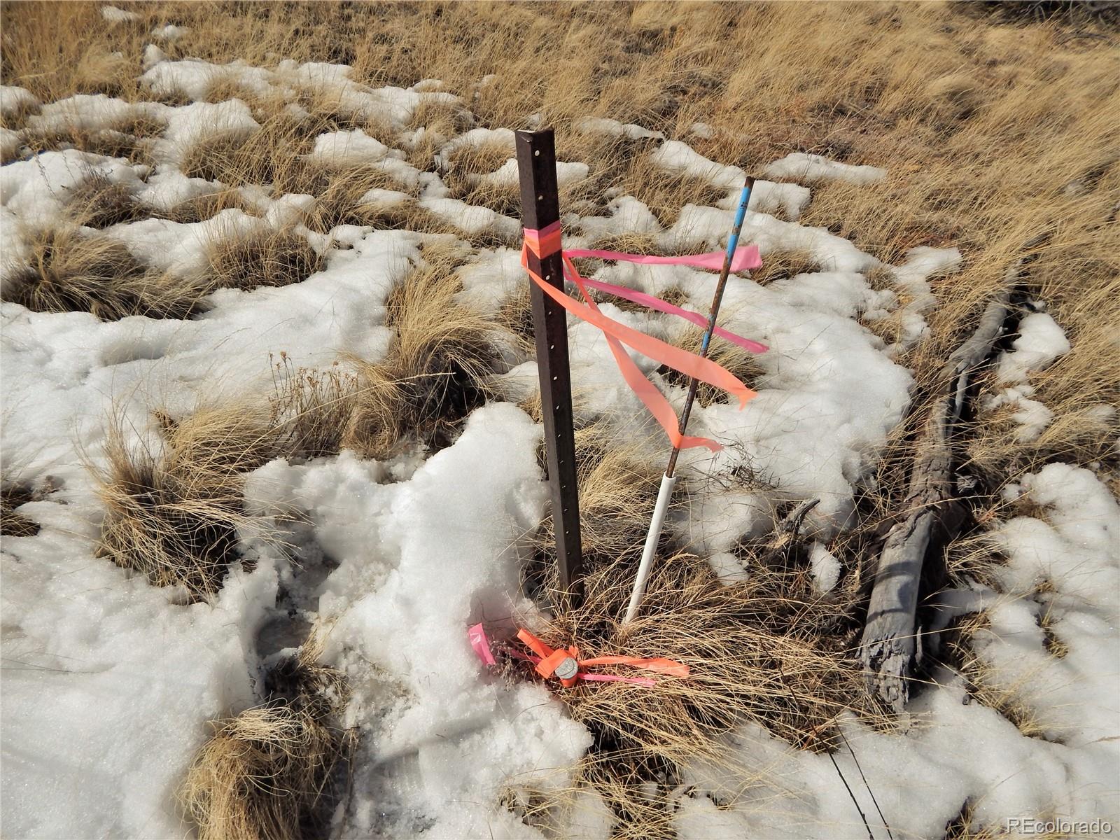 356 BOLSTER Drive, Hartsel, CO 80449, ,Land,For Sale,BOLSTER,REC1760992