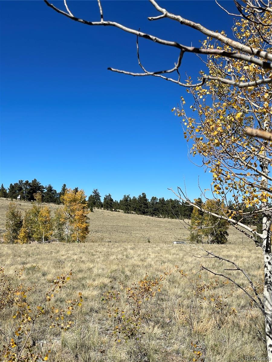 356 BOLSTER Drive, Hartsel, CO 80449, ,Land,For Sale,BOLSTER,REC1760992
