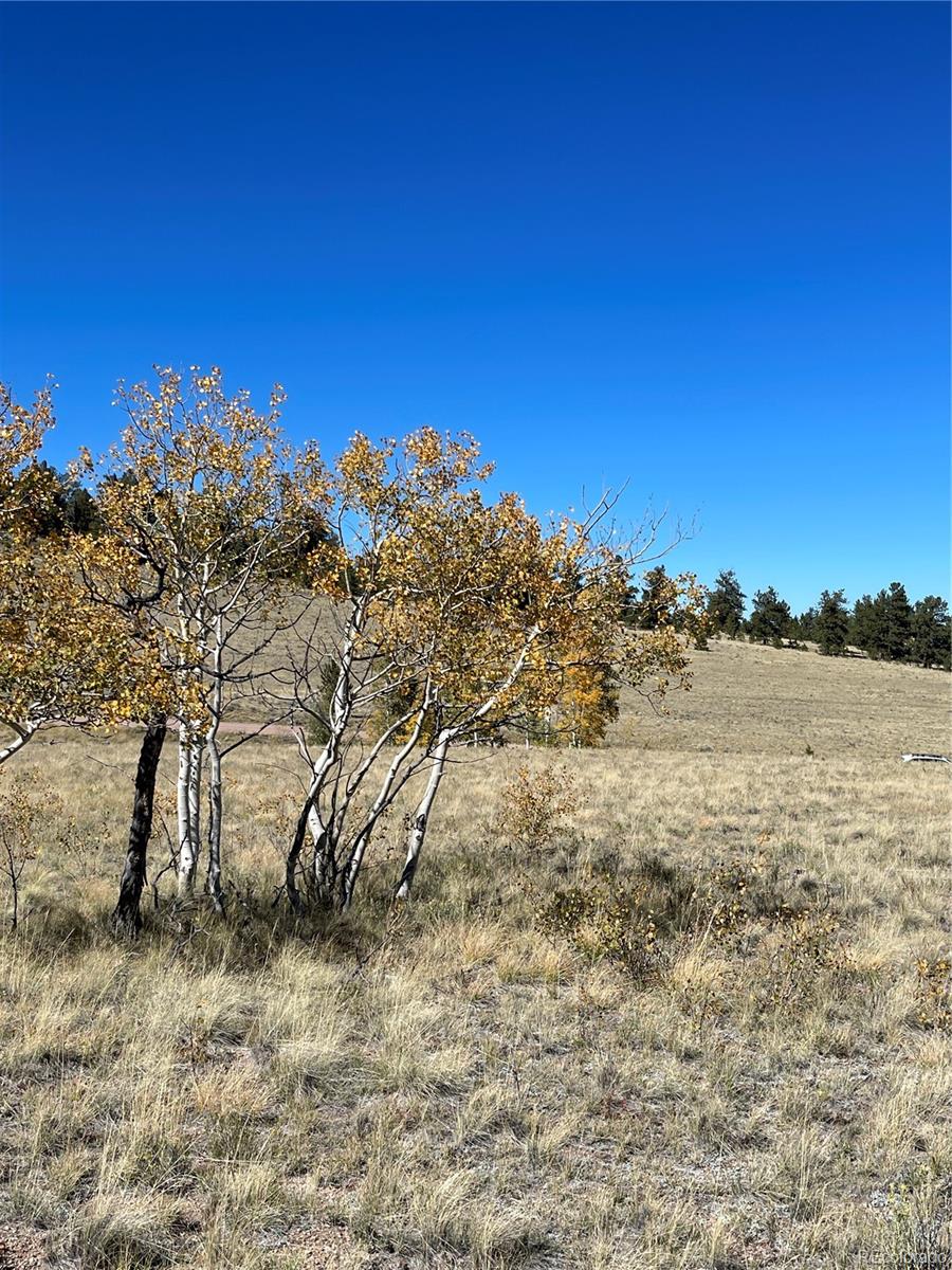 356 BOLSTER Drive, Hartsel, CO 80449, ,Land,For Sale,BOLSTER,REC1760992