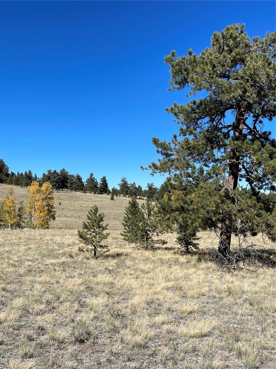 356 BOLSTER Drive, Hartsel, CO 80449, ,Land,For Sale,BOLSTER,REC1760992