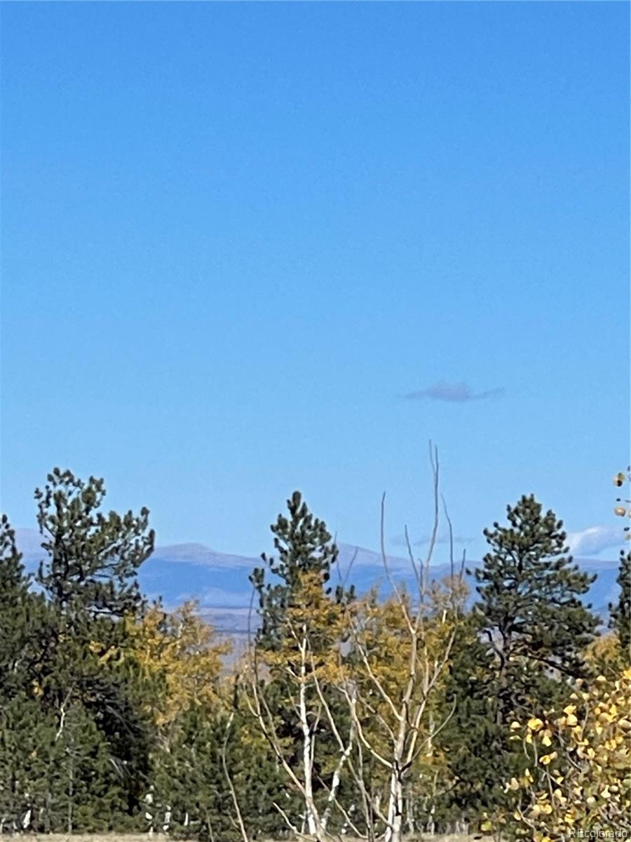 356 BOLSTER Drive, Hartsel, CO 80449, ,Land,For Sale,BOLSTER,REC1760992