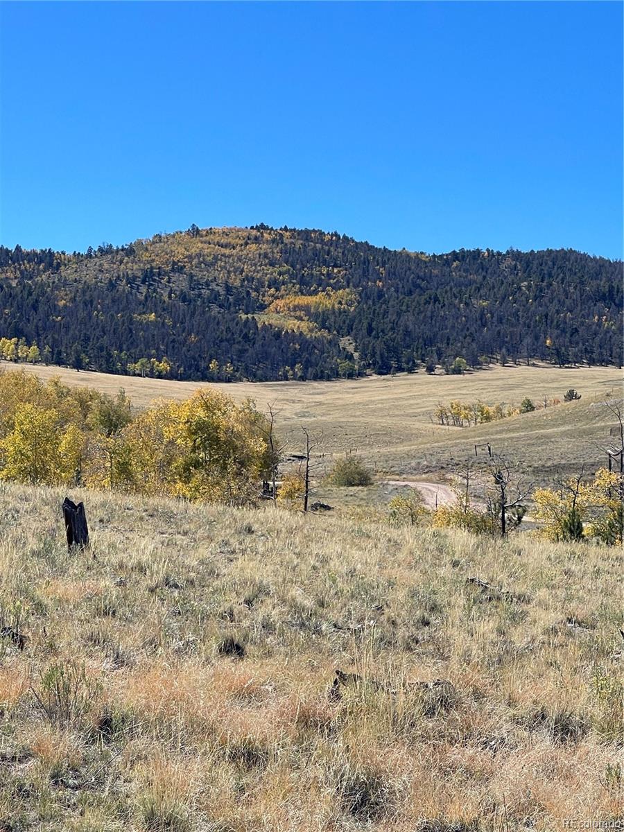 356 BOLSTER Drive, Hartsel, CO 80449, ,Land,For Sale,BOLSTER,REC1760992