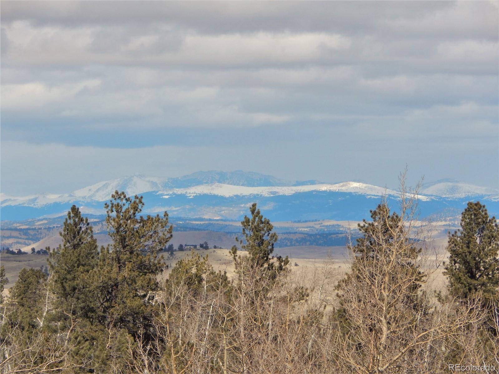 356 BOLSTER Drive, Hartsel, CO 80449, ,Land,For Sale,BOLSTER,REC1760992