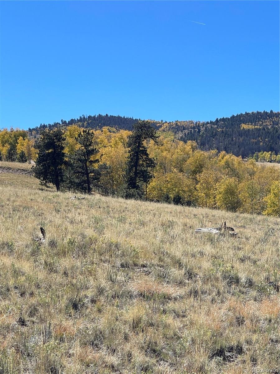 356 BOLSTER Drive, Hartsel, CO 80449, ,Land,For Sale,BOLSTER,REC1760992