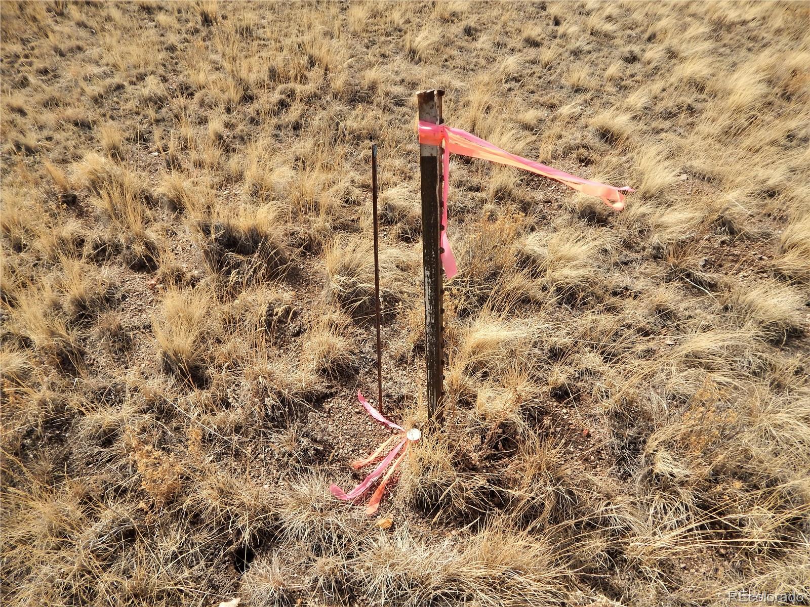 356 BOLSTER Drive, Hartsel, CO 80449, ,Land,For Sale,BOLSTER,REC1760992