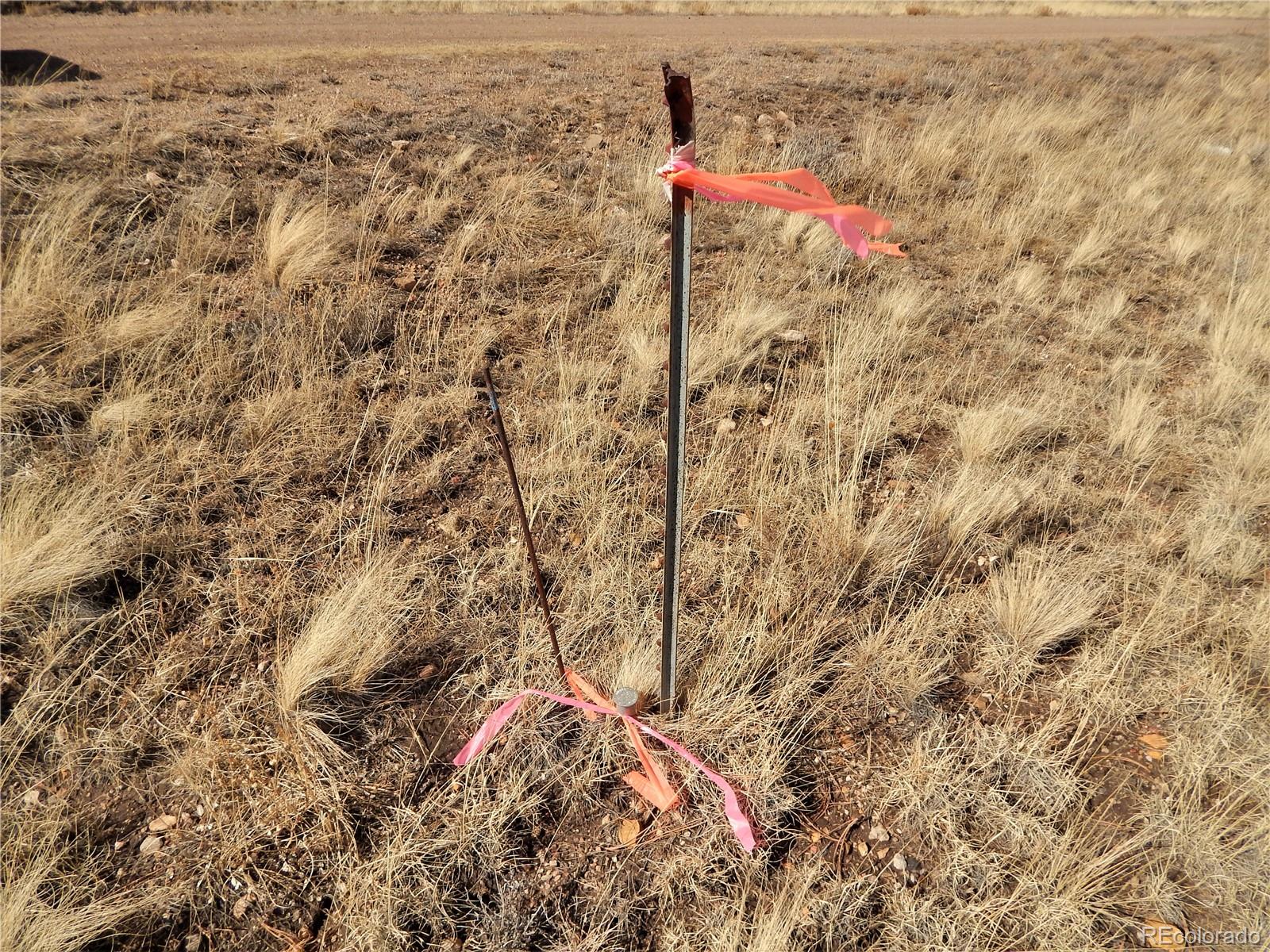 356 BOLSTER Drive, Hartsel, CO 80449, ,Land,For Sale,BOLSTER,REC1760992