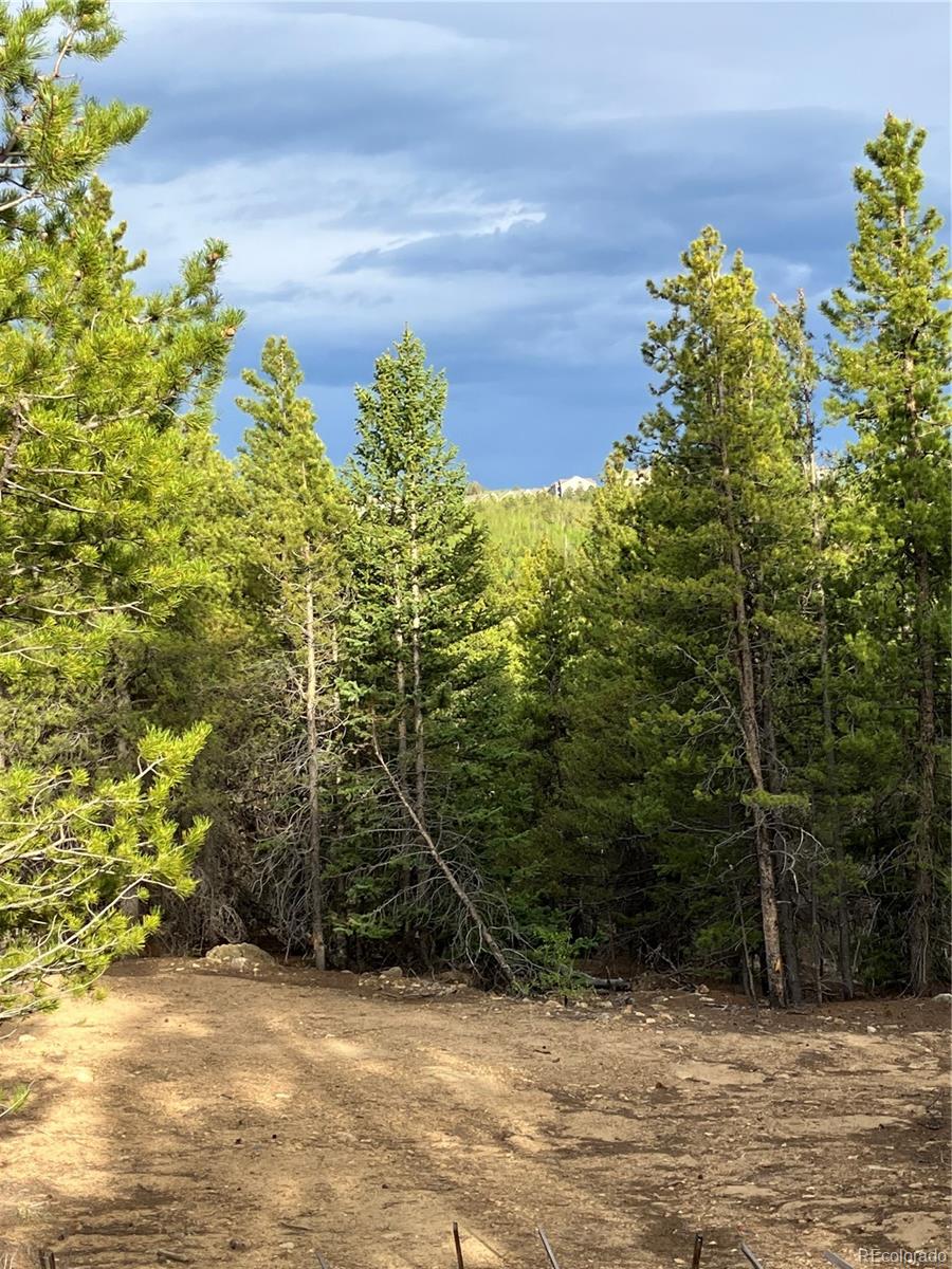 0 Nevadaville Road, Central City, CO 80427, ,Land,For Sale,Nevadaville,REC5354540