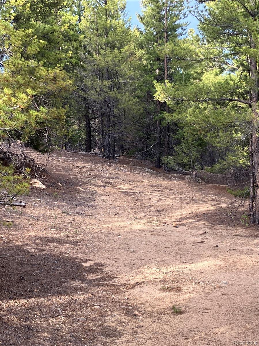0 Nevadaville Road, Central City, CO 80427, ,Land,For Sale,Nevadaville,REC5354540