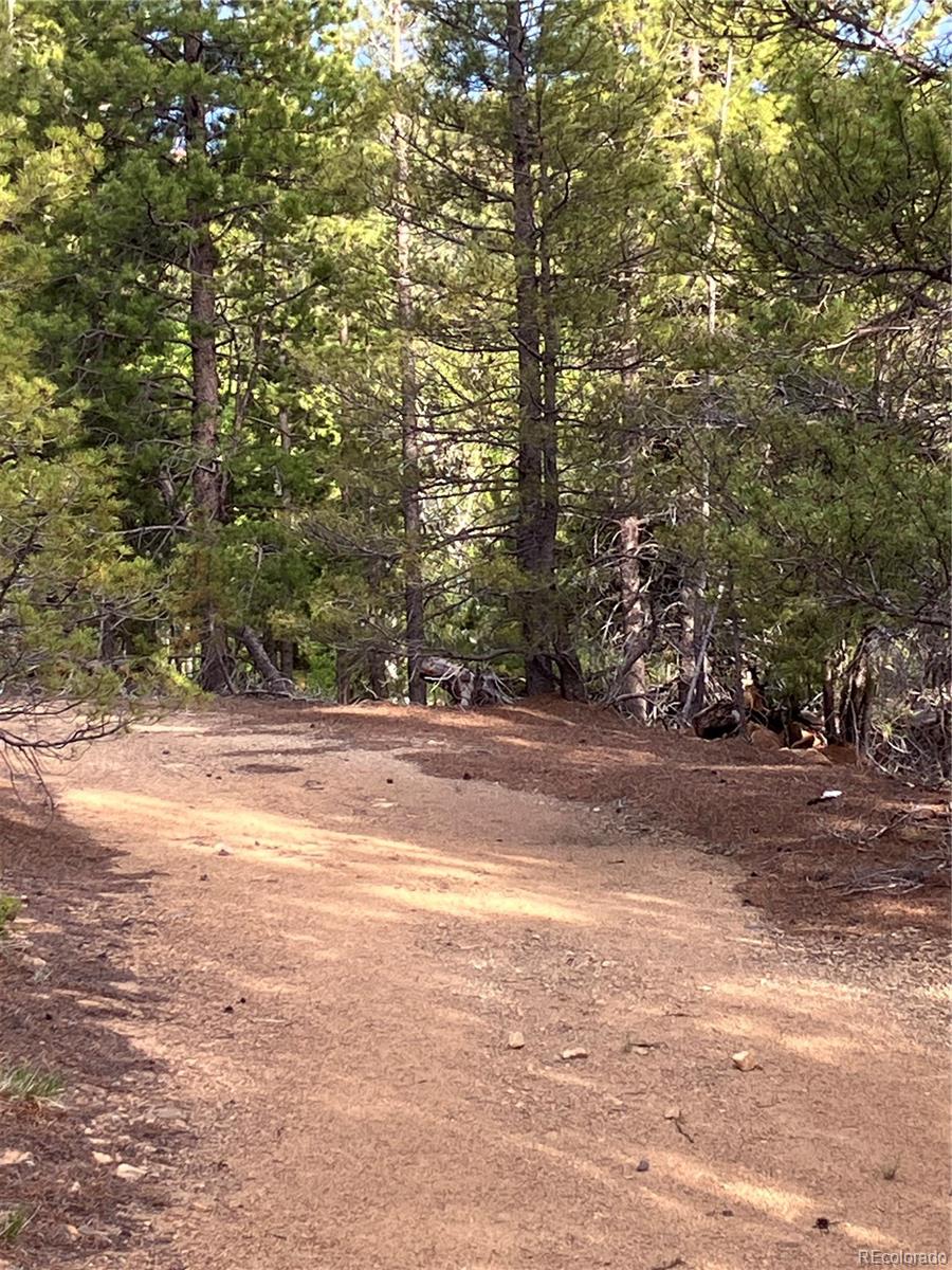0 Nevadaville Road, Central City, CO 80427, ,Land,For Sale,Nevadaville,REC5354540