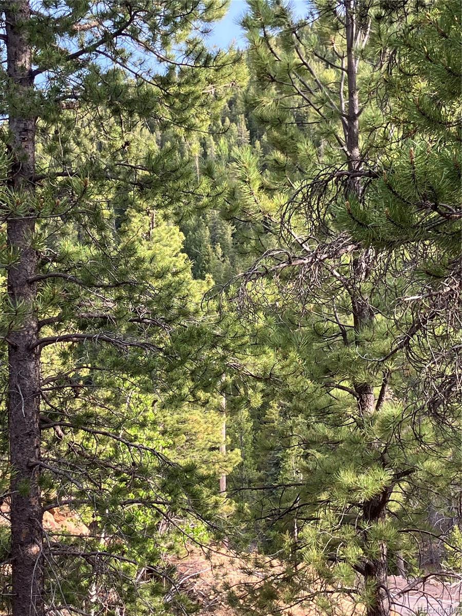 0 Nevadaville Road, Central City, CO 80427, ,Land,For Sale,Nevadaville,REC5354540