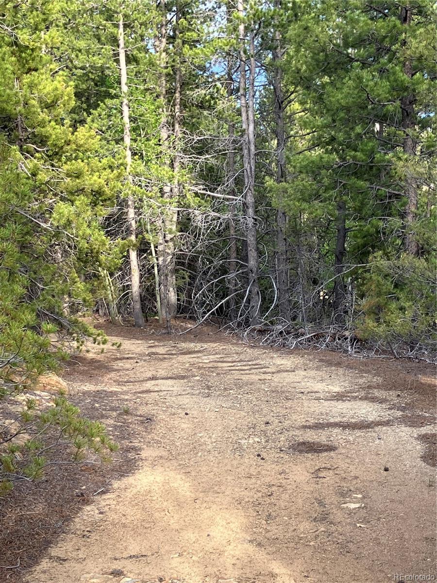 0 Nevadaville Road, Central City, CO 80427, ,Land,For Sale,Nevadaville,REC5354540