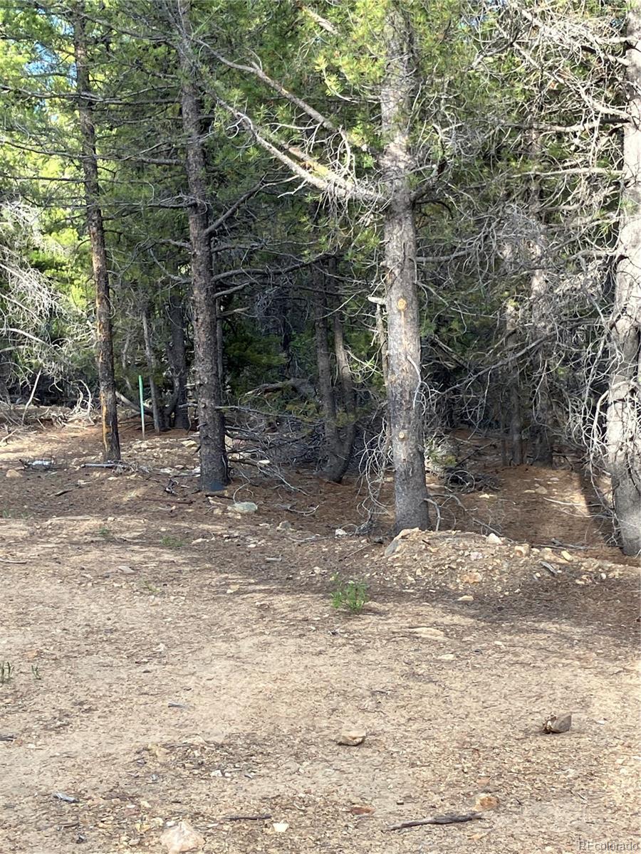 0 Nevadaville Road, Central City, CO 80427, ,Land,For Sale,Nevadaville,REC5354540