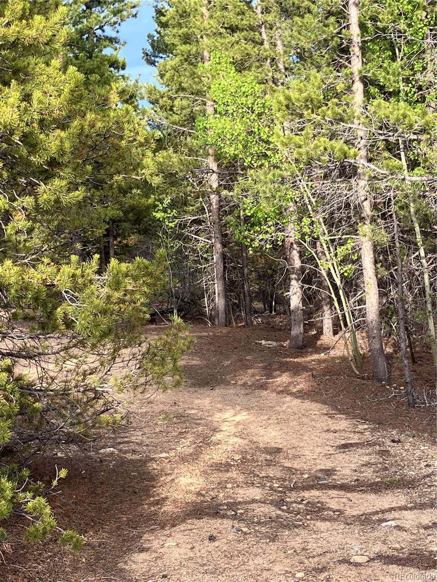 0 Nevadaville Road, Central City, CO 80427, ,Land,For Sale,Nevadaville,REC5354540