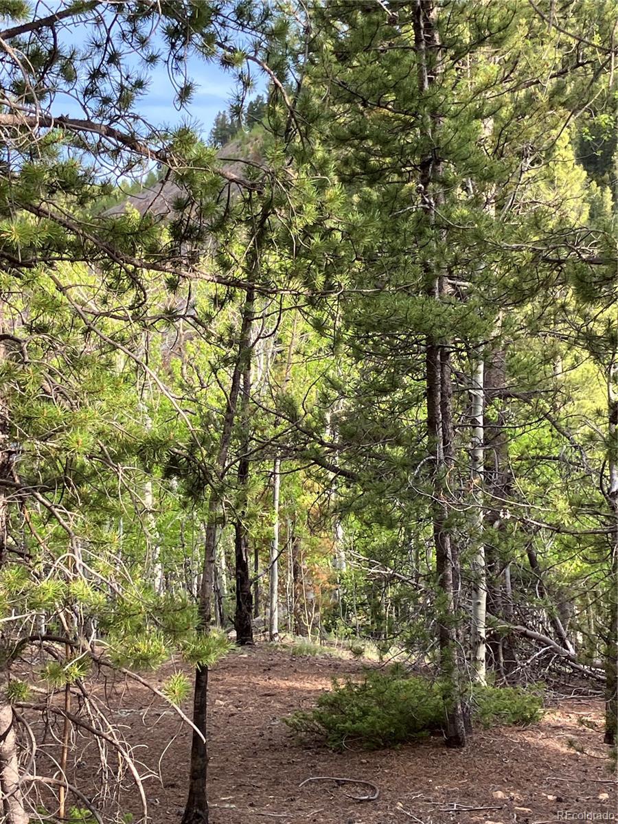 0 Nevadaville Road, Central City, CO 80427, ,Land,For Sale,Nevadaville,REC5354540