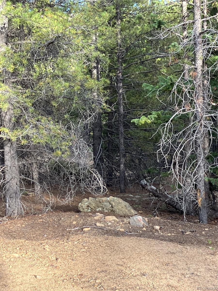 0 Nevadaville Road, Central City, CO 80427, ,Land,For Sale,Nevadaville,REC5354540