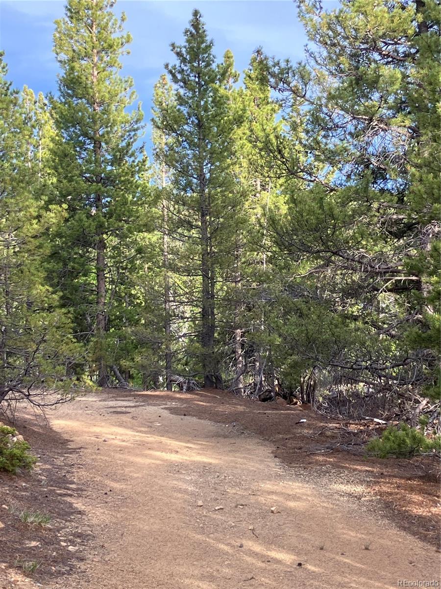 0 Nevadaville Road, Central City, CO 80427, ,Land,For Sale,Nevadaville,REC5354540