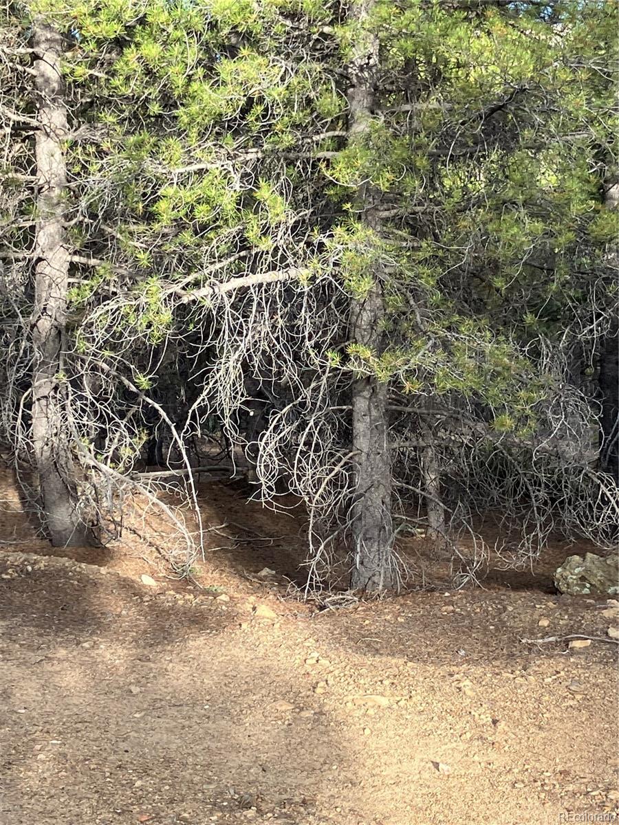 0 Nevadaville Road, Central City, CO 80427, ,Land,For Sale,Nevadaville,REC5354540