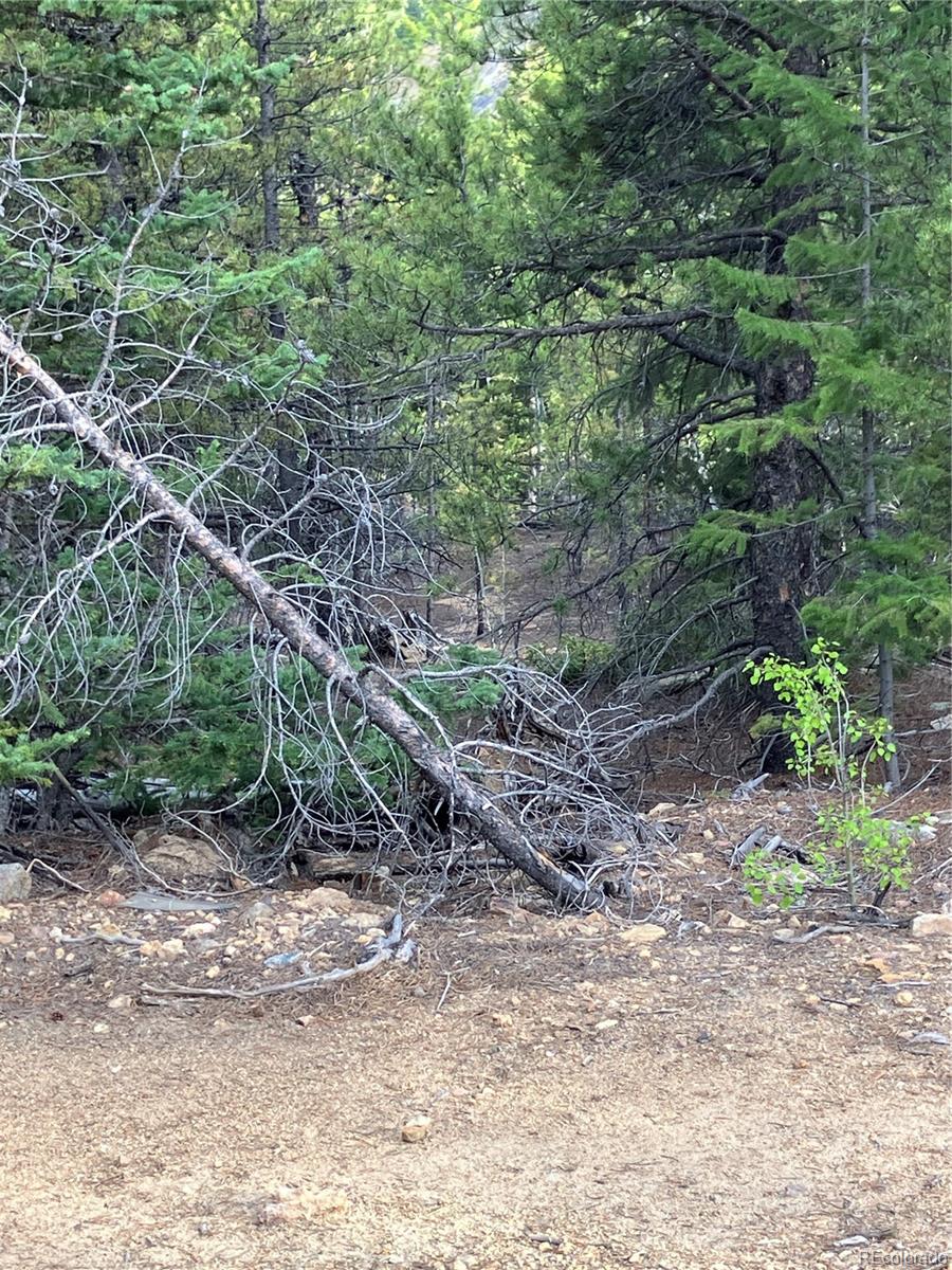 0 Nevadaville Road, Central City, CO 80427, ,Land,For Sale,Nevadaville,REC5354540