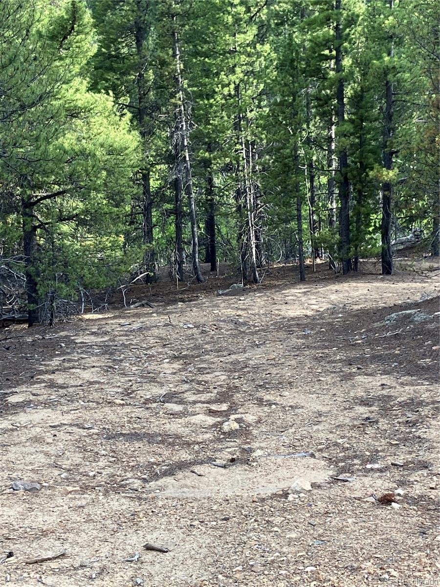 0 Nevadaville Road, Central City, CO 80427, ,Land,For Sale,Nevadaville,REC5354540