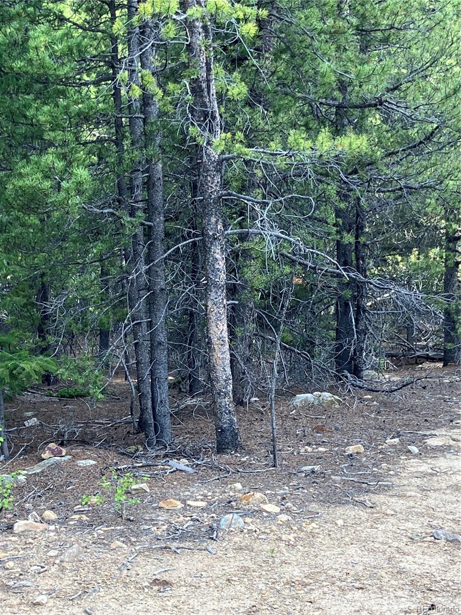 0 Nevadaville Road, Central City, CO 80427, ,Land,For Sale,Nevadaville,REC5354540