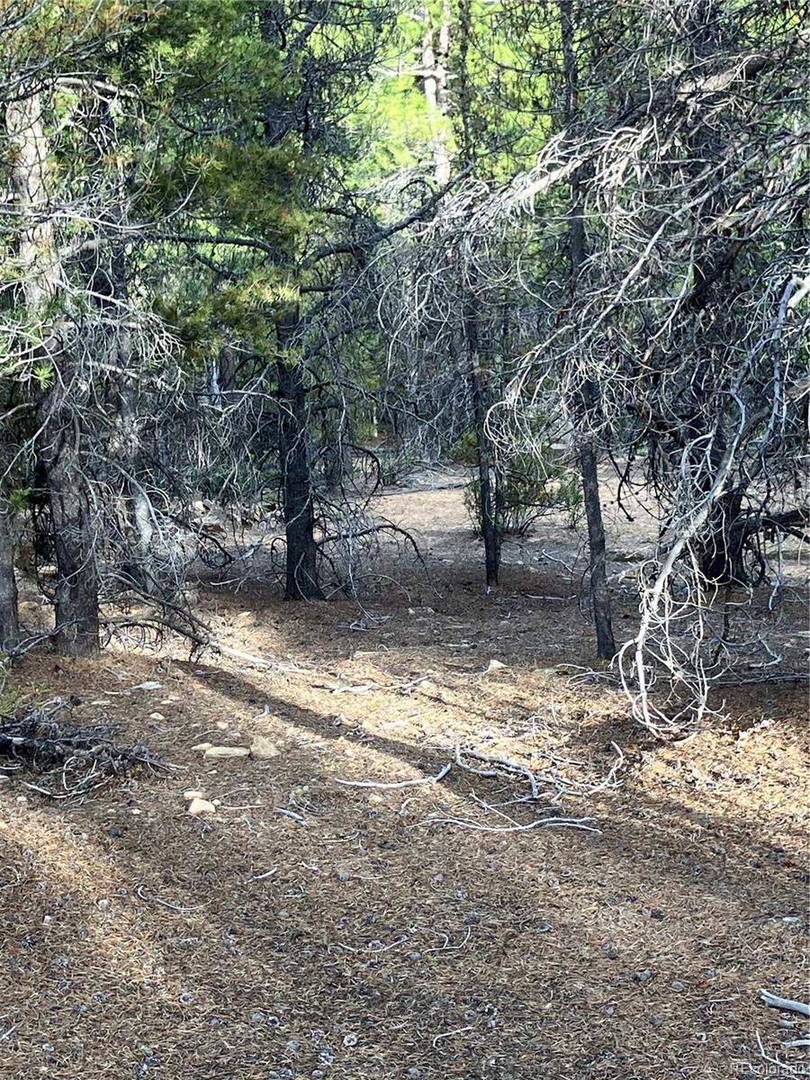 0 Nevadaville Road, Central City, CO 80427, ,Land,For Sale,Nevadaville,REC5354540