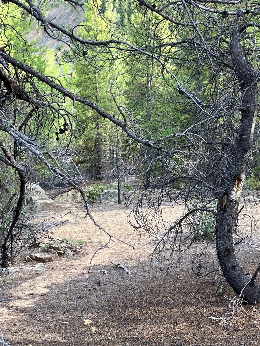 0 Nevadaville Road, Central City, CO 80427, ,Land,For Sale,Nevadaville,REC5354540