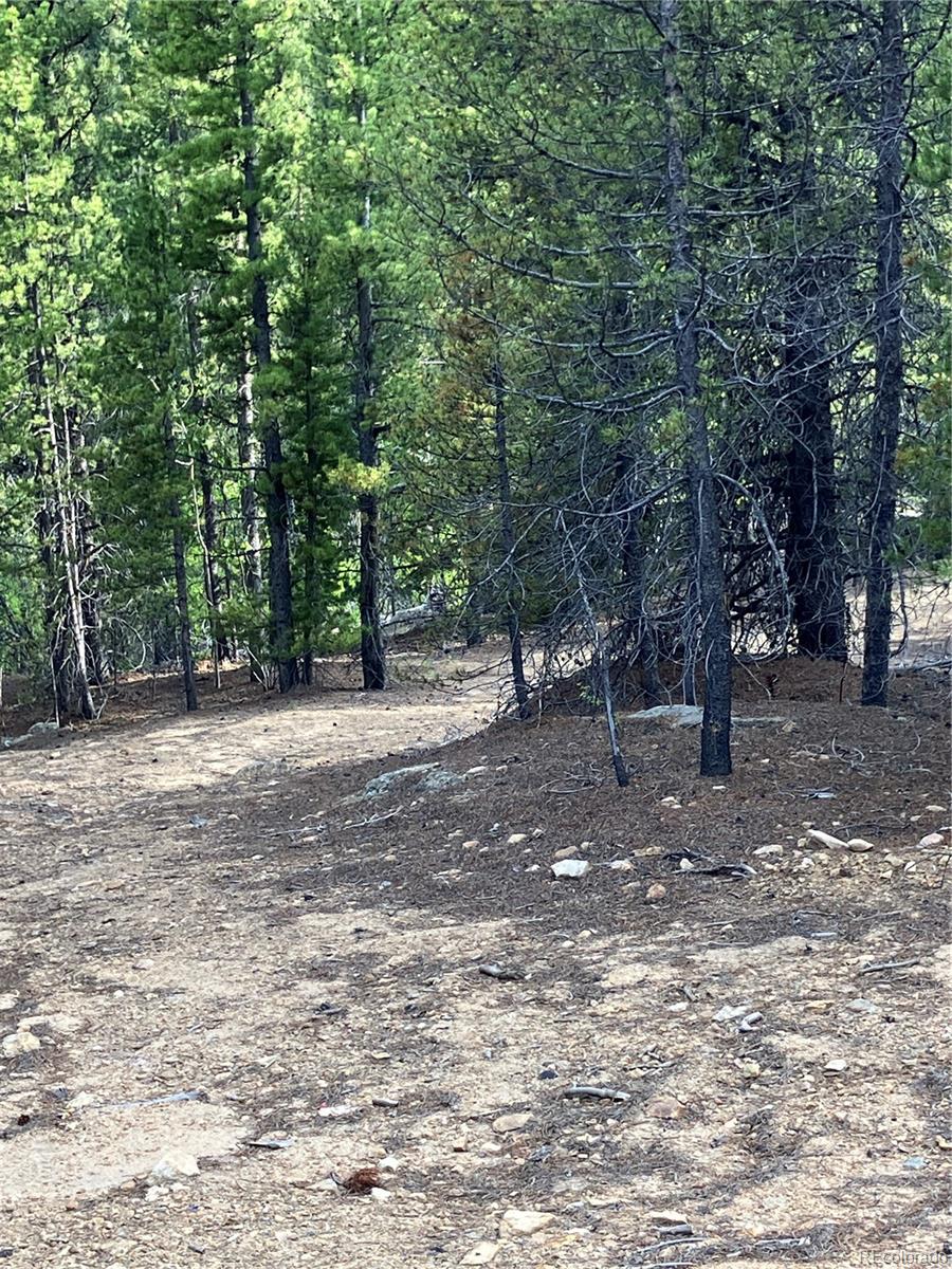 0 Nevadaville Road, Central City, CO 80427, ,Land,For Sale,Nevadaville,REC5354540