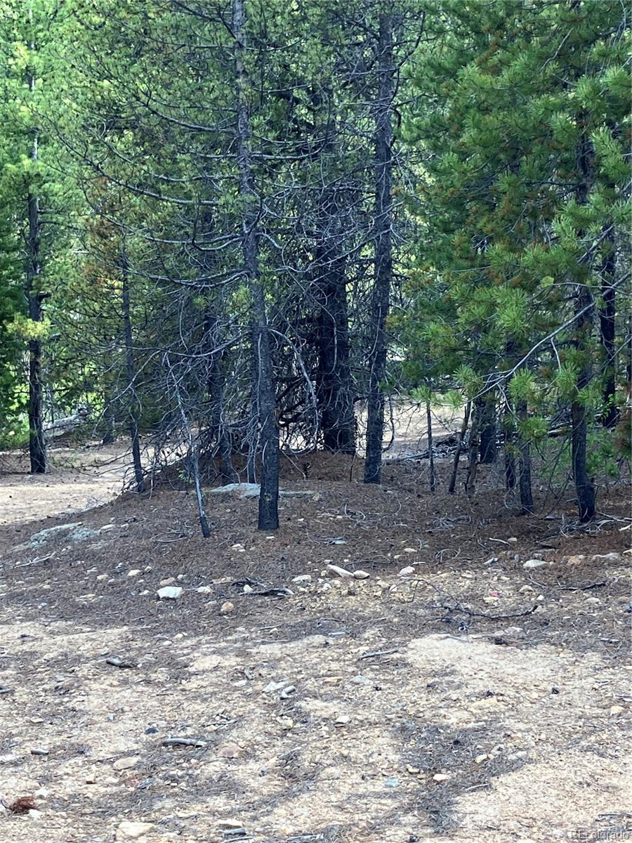 0 Nevadaville Road, Central City, CO 80427, ,Land,For Sale,Nevadaville,REC5354540