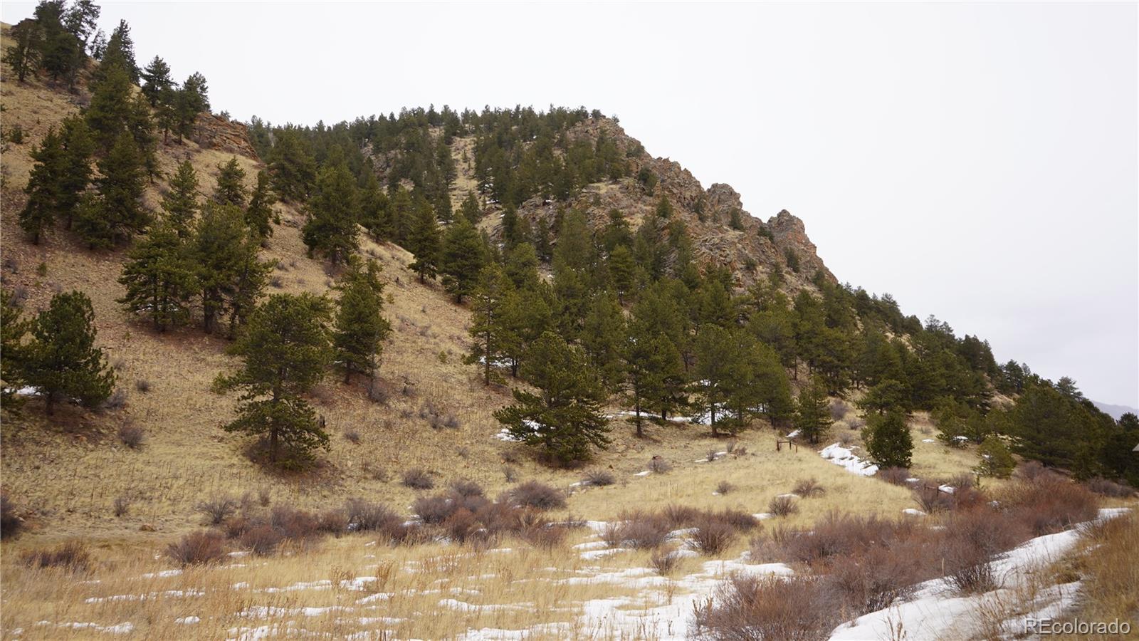 Hwy 285, Bailey, CO 80421, ,Land,For Sale,Hwy 285,REC6681598