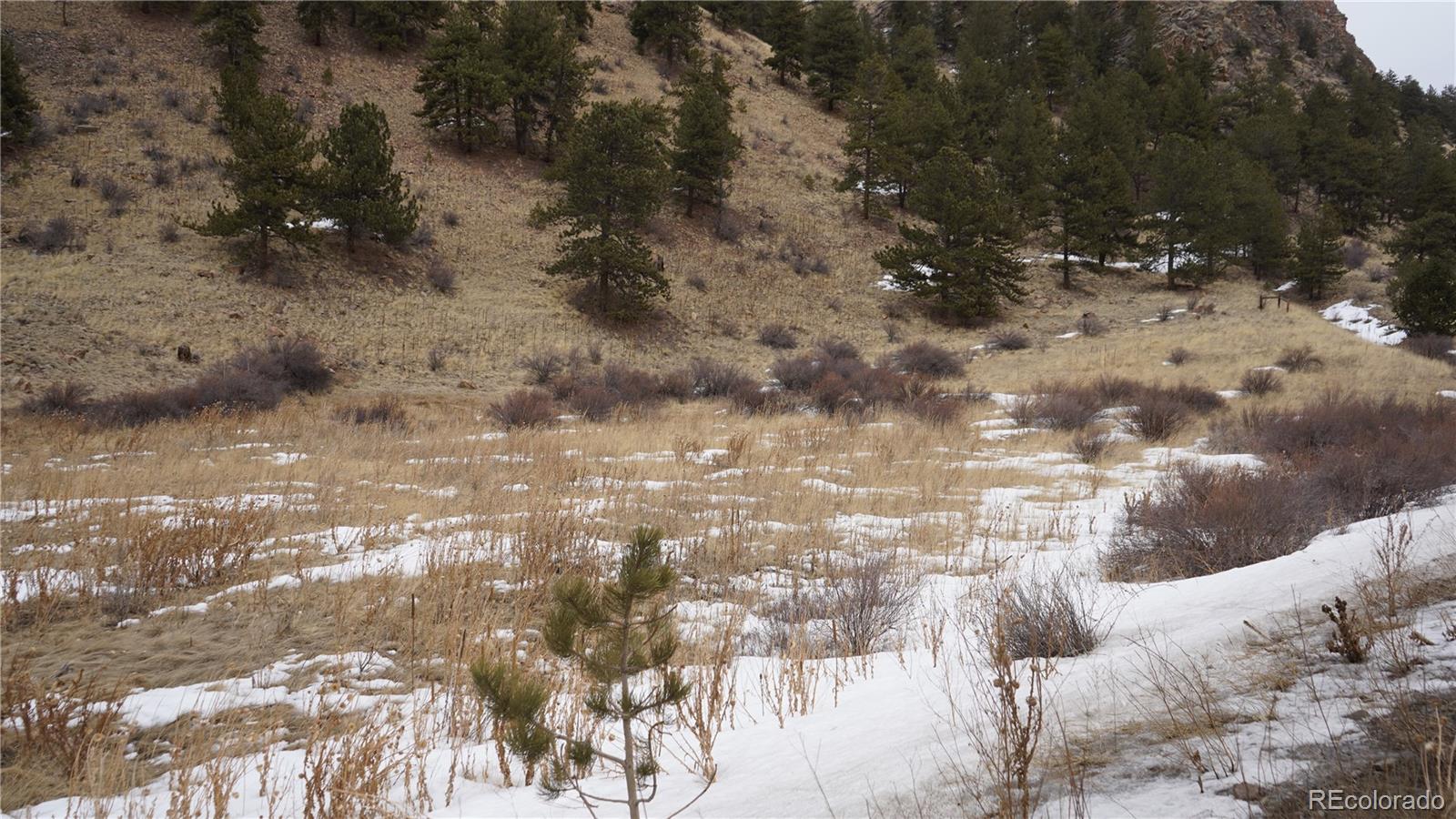 Hwy 285, Bailey, CO 80421, ,Land,For Sale,Hwy 285,REC6681598
