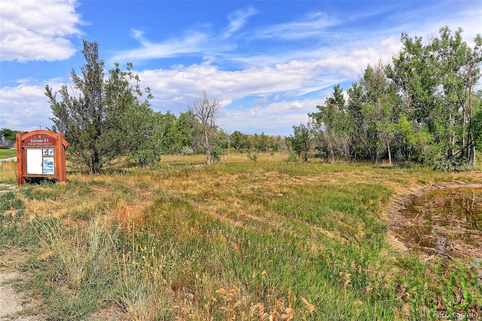 3225 E 124th Avenue, Thornton, CO 80241, ,Land,For Sale,124th,REC3829052