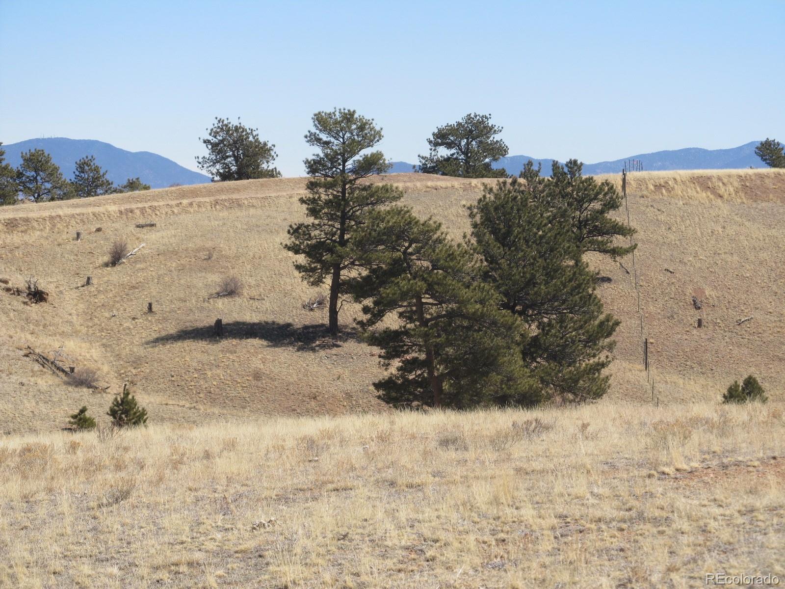 5131 Ouray Road, Hartsel, CO 80449, ,Land,For Sale,Ouray,REC5223555