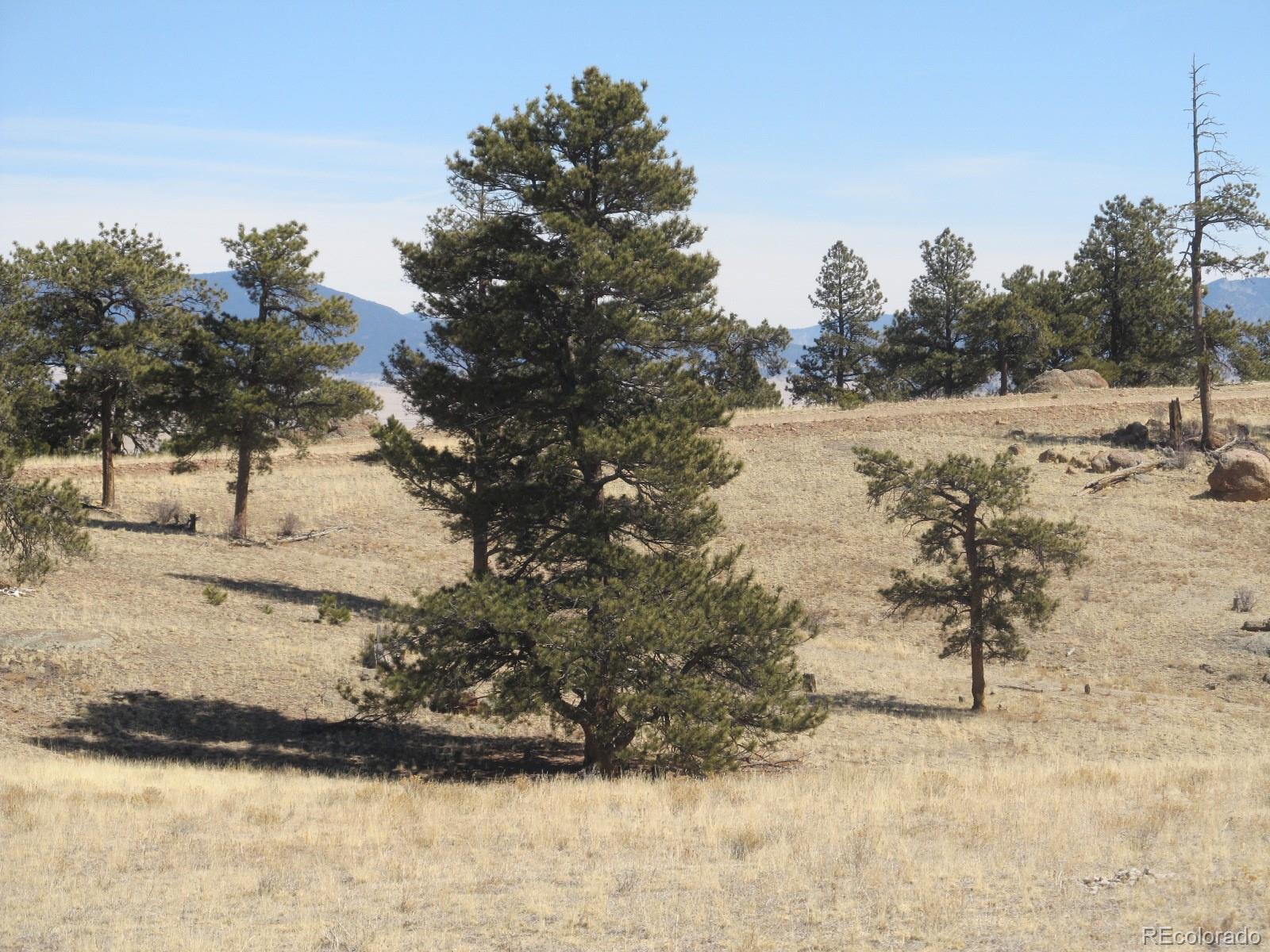 5131 Ouray Road, Hartsel, CO 80449, ,Land,For Sale,Ouray,REC5223555