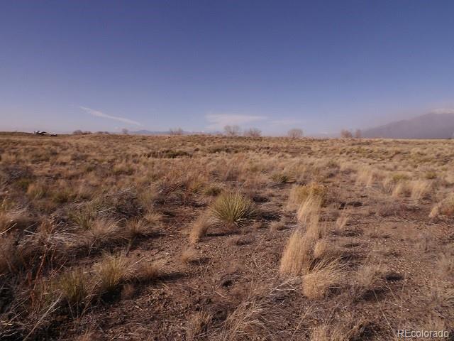 308 Rainbow Trout Trail, Crestone, CO 81131, ,Land,For Sale,Rainbow Trout,REC5063354