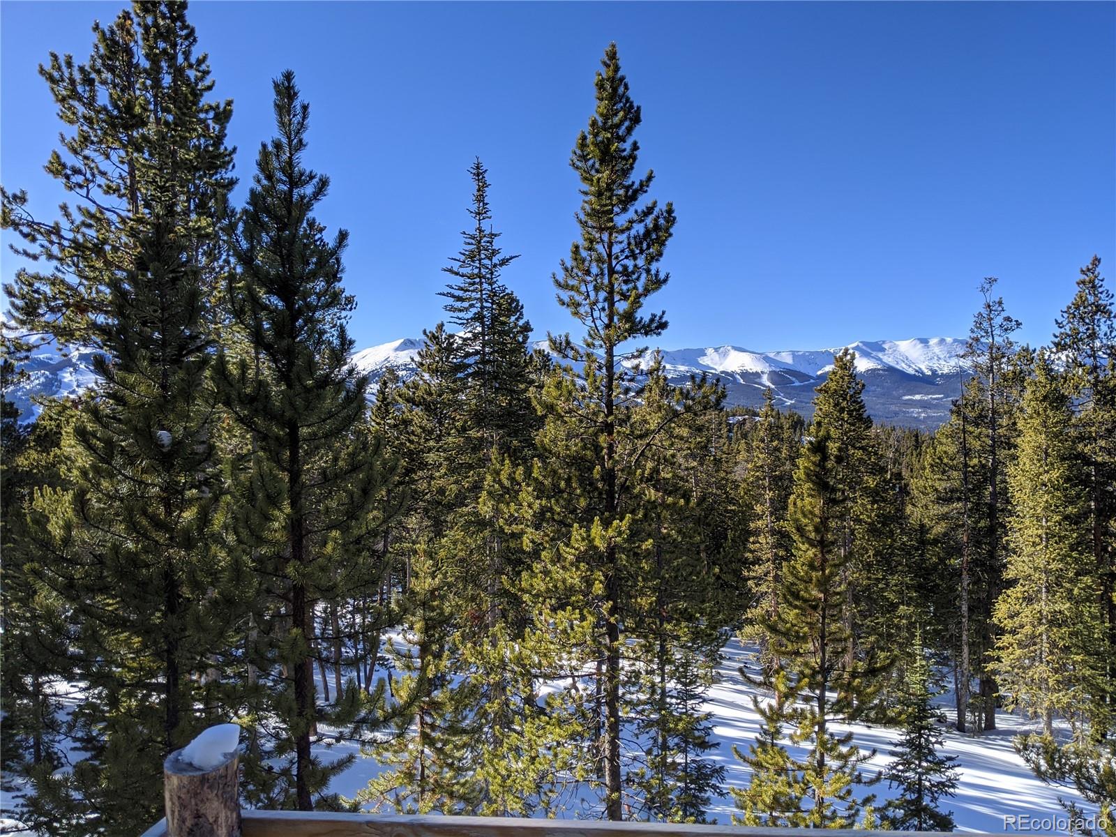0190 Berlin Placer Road, Breckenridge, CO 80424, ,Land,For Sale,Berlin Placer,REC8323753