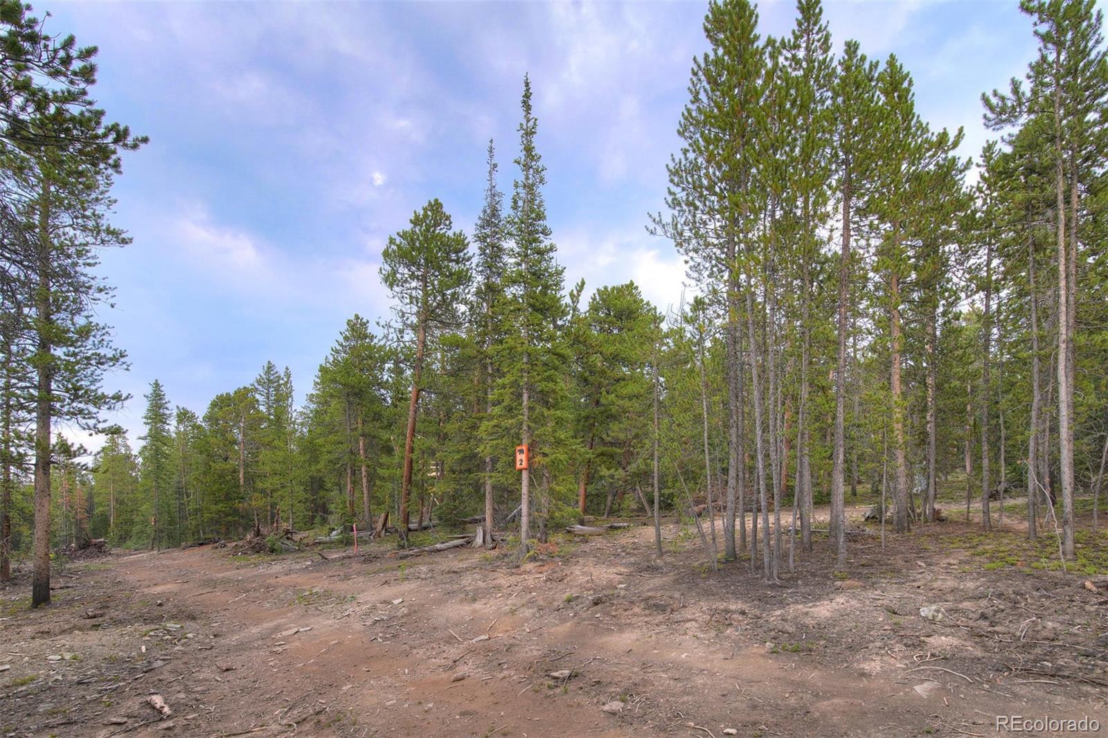 0190 Berlin Placer Road, Breckenridge, CO 80424, ,Land,For Sale,Berlin Placer,REC8323753