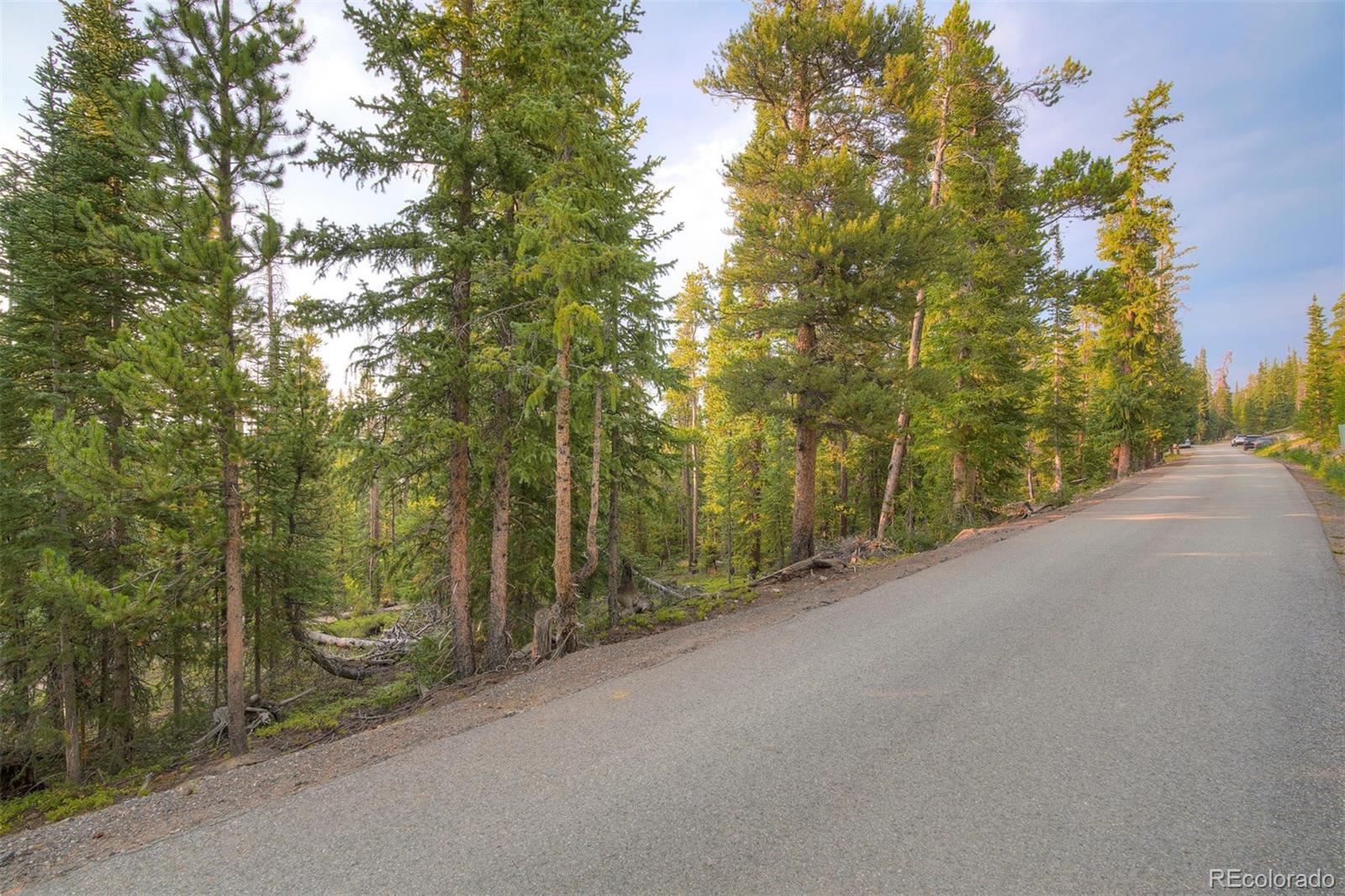 0190 Berlin Placer Road, Breckenridge, CO 80424, ,Land,For Sale,Berlin Placer,REC8323753