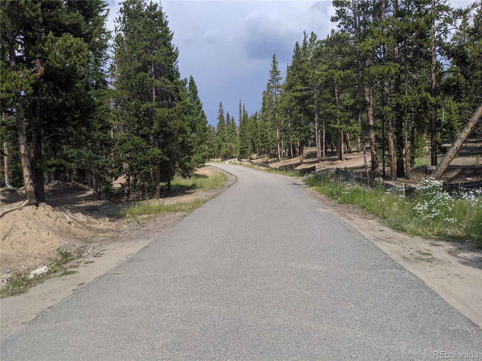 0190 Berlin Placer Road, Breckenridge, CO 80424, ,Land,For Sale,Berlin Placer,REC8323753