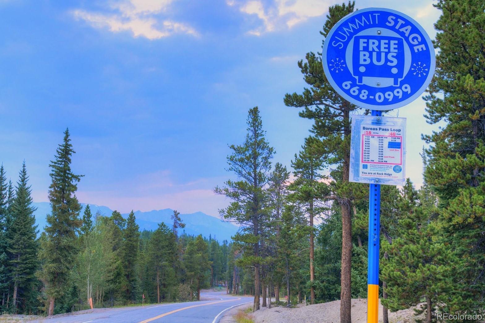 0190 Berlin Placer Road, Breckenridge, CO 80424, ,Land,For Sale,Berlin Placer,REC8323753