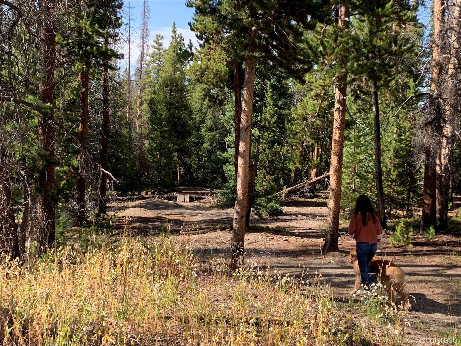 0190 Berlin Placer Road, Breckenridge, CO 80424, ,Land,For Sale,Berlin Placer,REC8323753