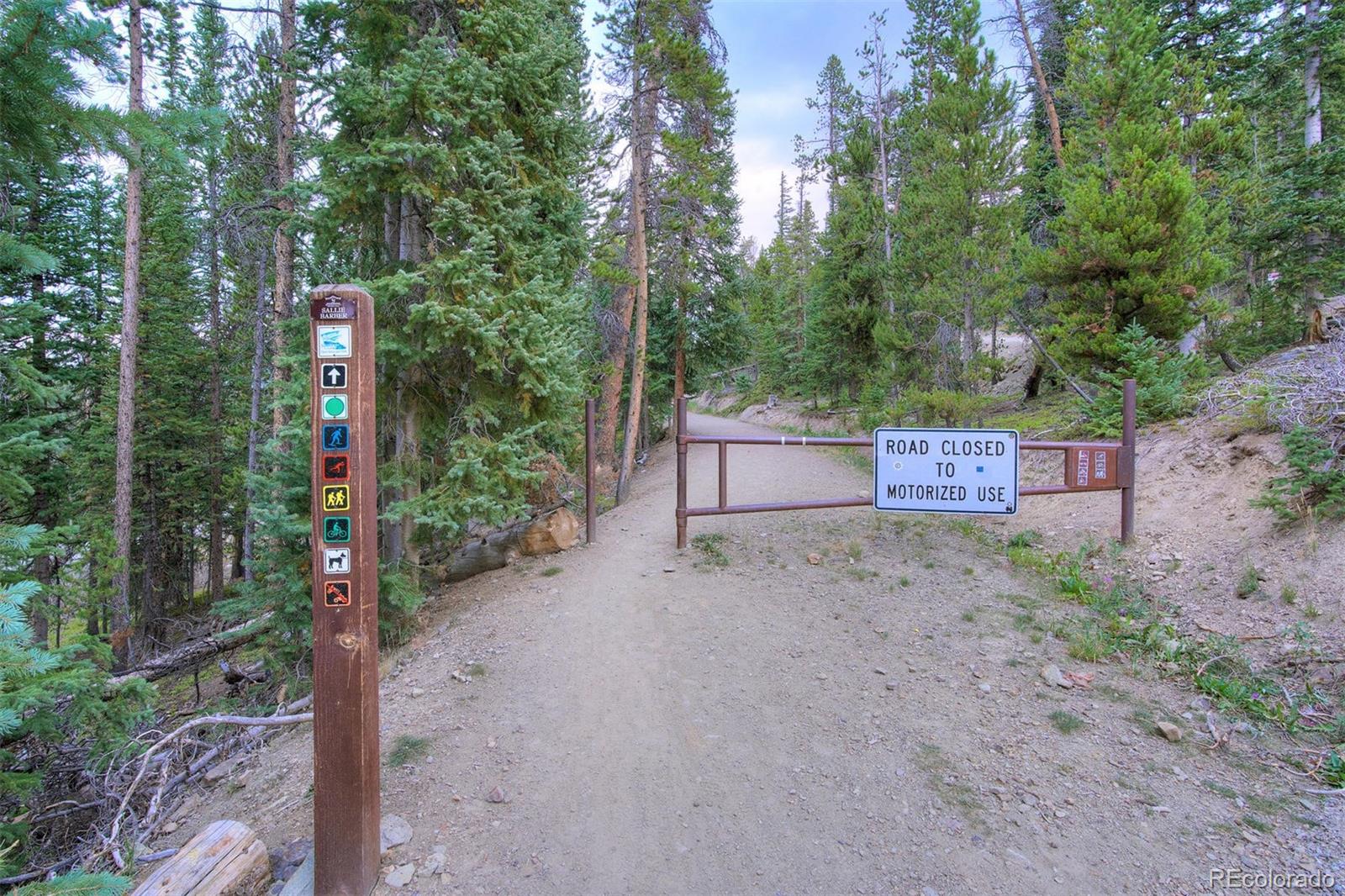 0190 Berlin Placer Road, Breckenridge, CO 80424, ,Land,For Sale,Berlin Placer,REC8323753
