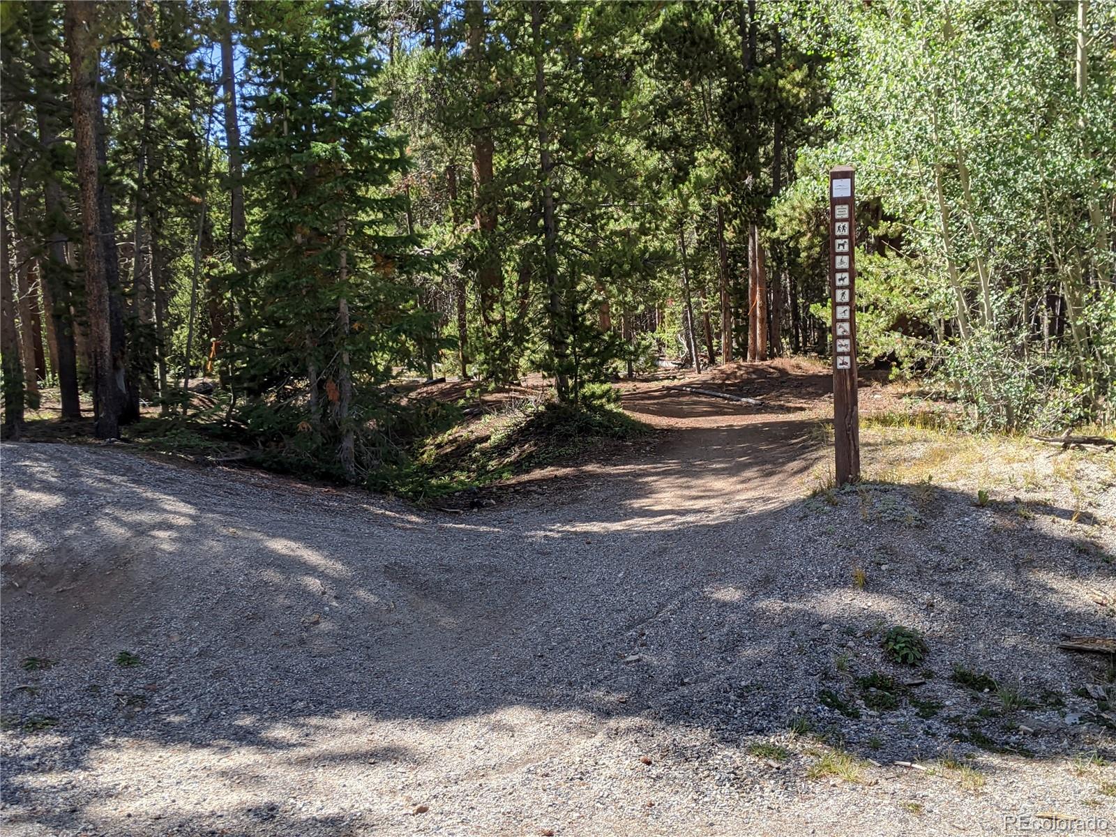 0190 Berlin Placer Road, Breckenridge, CO 80424, ,Land,For Sale,Berlin Placer,REC8323753