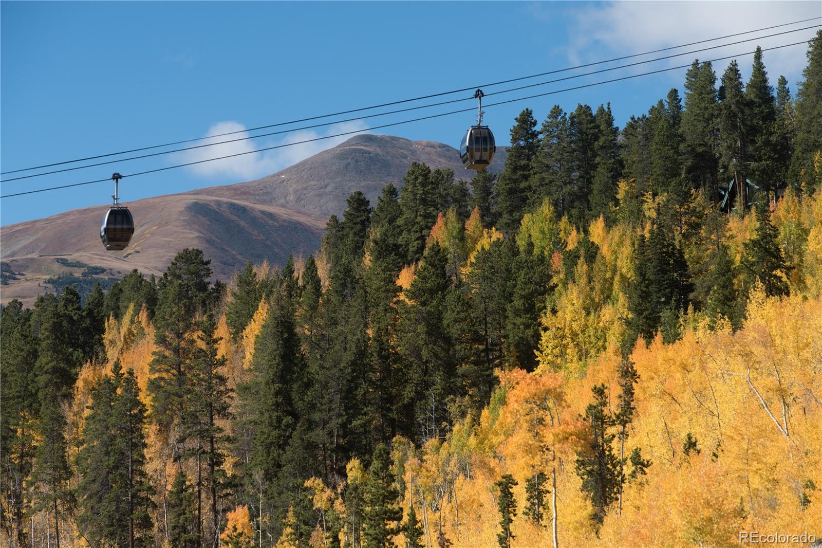 0190 Berlin Placer Road, Breckenridge, CO 80424, ,Land,For Sale,Berlin Placer,REC8323753