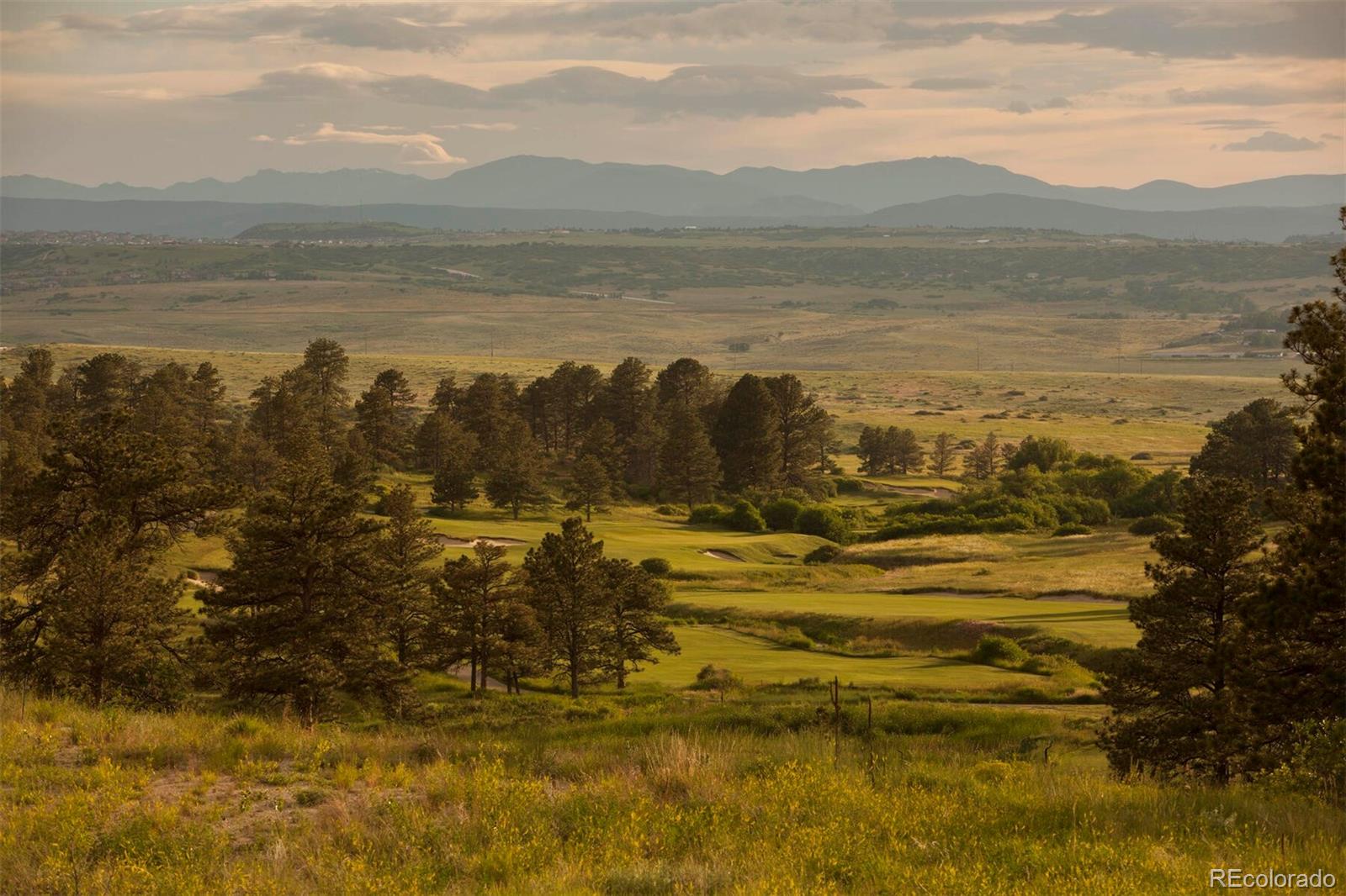 0-#5 Betts Ranch Road, Parker, CO 80134, ,Land,For Sale,Betts Ranch,REC7565367