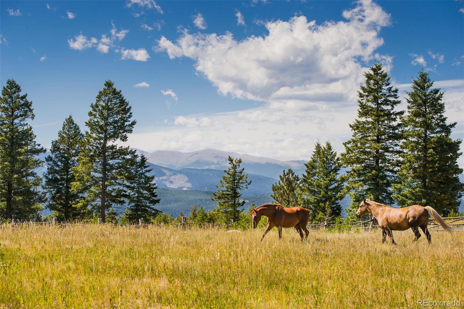0-#4 Betts Ranch Road, Parker, CO 80134, ,Land,For Sale,Betts Ranch,REC2487839