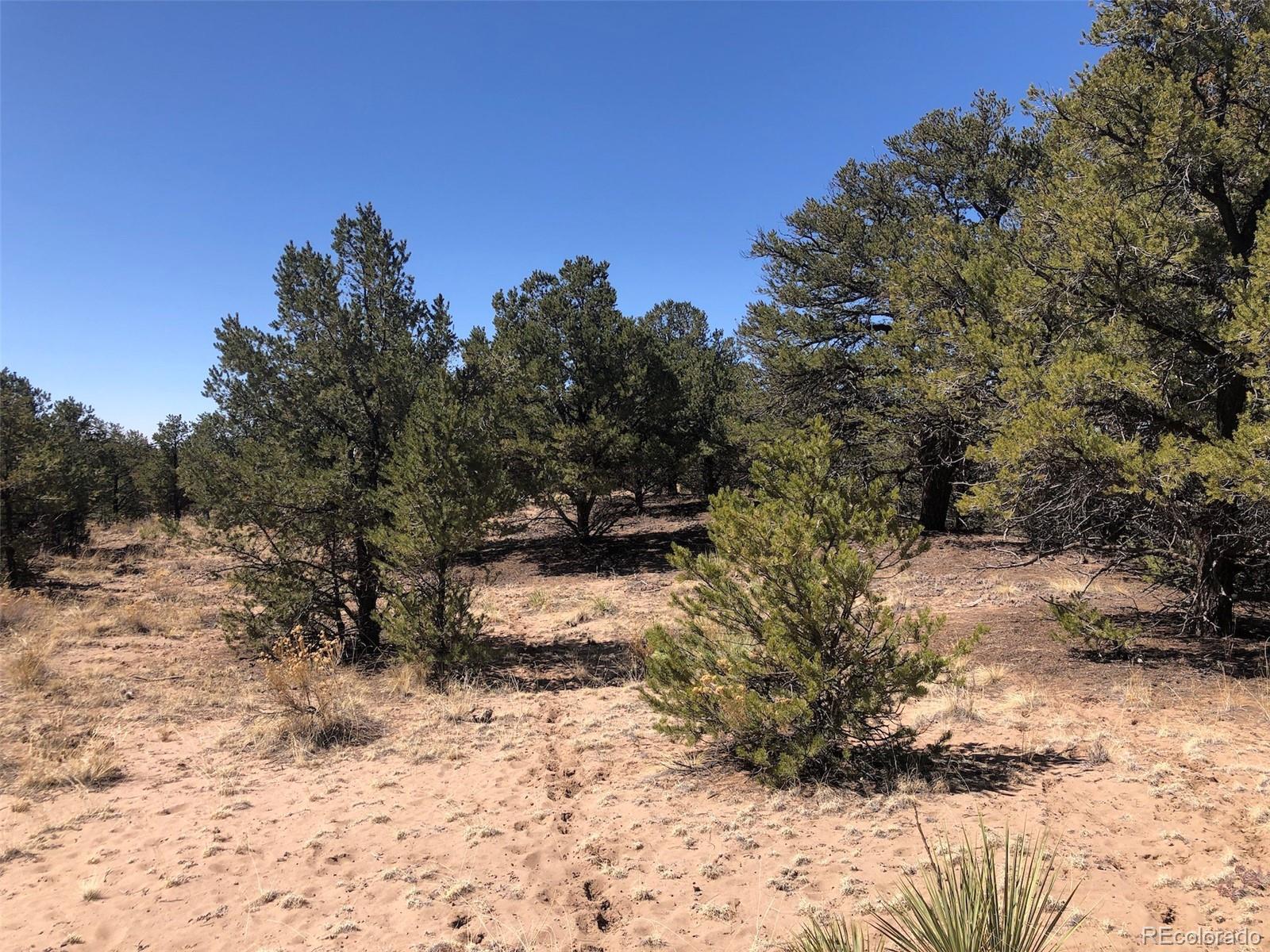 772-773 Panorama Way, Crestone, CO 81131, ,Land,For Sale,Panorama,REC2035133