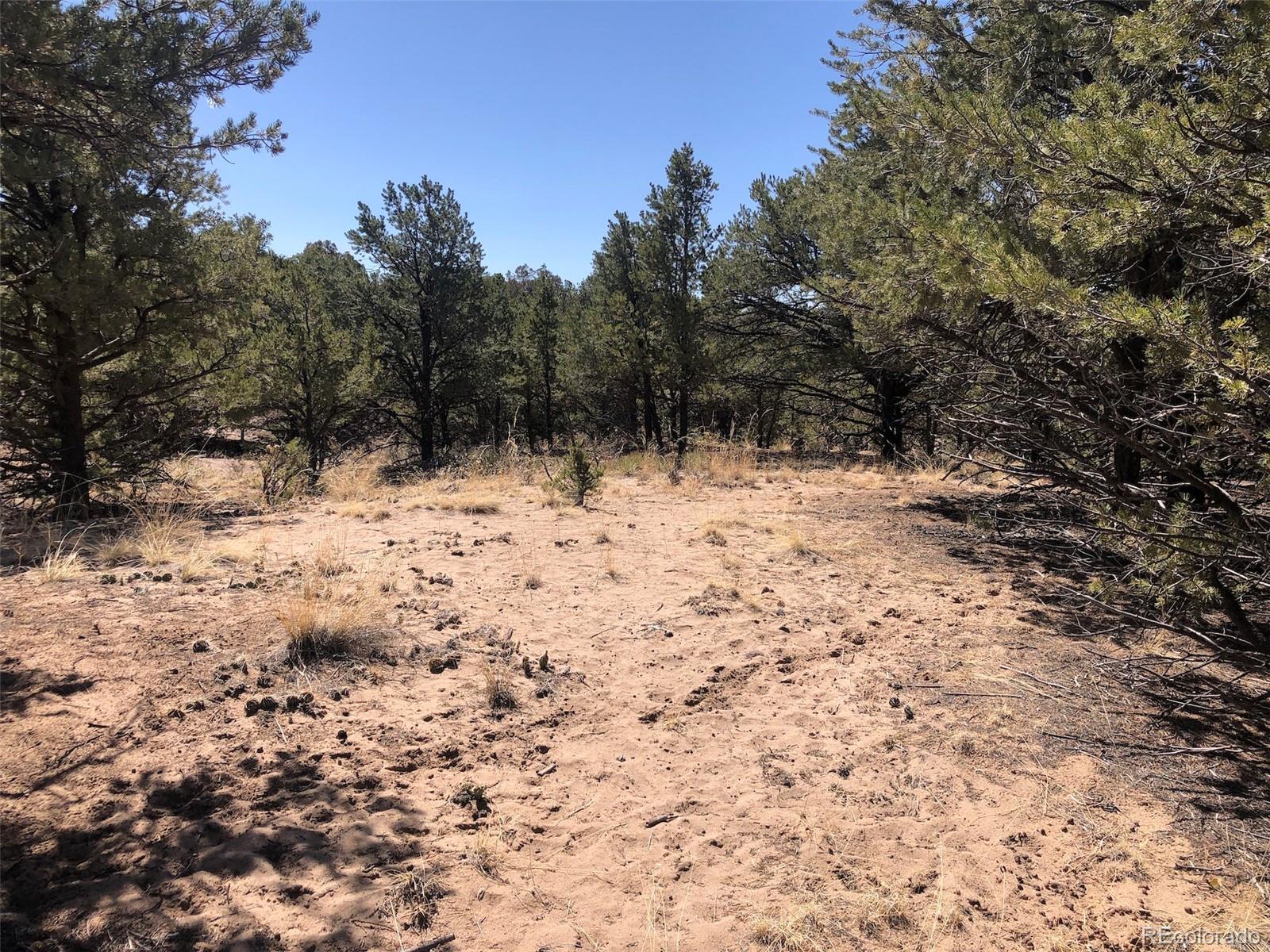 772-773 Panorama Way, Crestone, CO 81131, ,Land,For Sale,Panorama,REC2035133